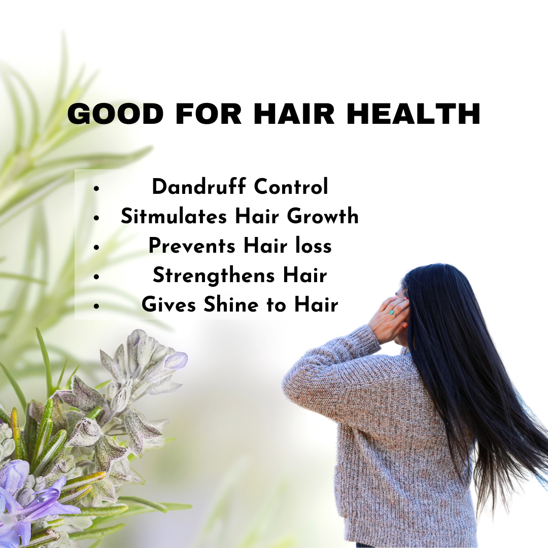 FittR Bites Rosemary Leaves Used for Hair Oil – Natural Hair Growth Remedy